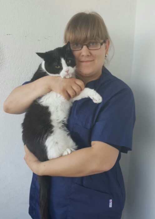 Eine Frau in blauer Tierarztkleidung hält eine schwarze und weiße Katze in ihren Armen. Die Frau hat eine Brille und steht vor einer weißen Wand.