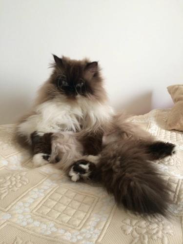 2016-08-13-PHOTO-00000002