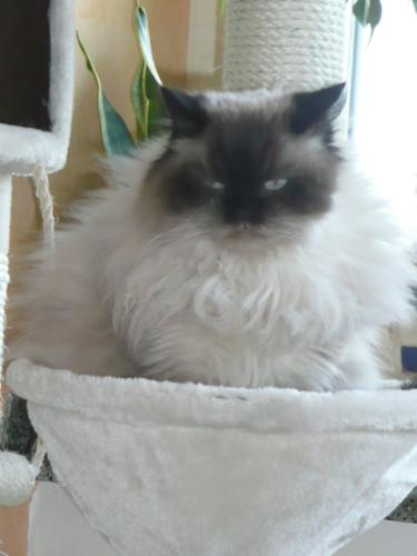 jac-geb-und-tiere-768