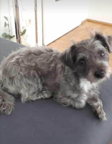 tierarztpraxis-bachem-driessen-patient-197