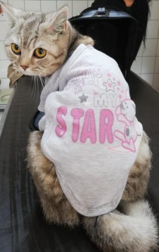 tierarztpraxis-bachem-driessen-patient-198