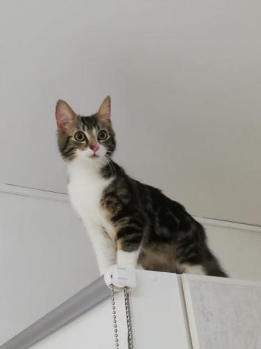 tierarztpraxis-bachem-driessen-patient-199