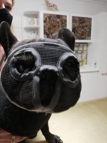 tierarztpraxis-bachem-driessen-patient-201