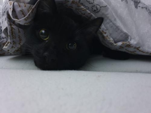 tierarztpraxis-bachem-driessen-patient-202