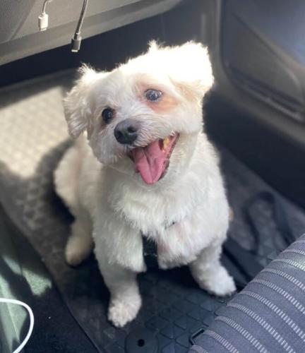 tierarztpraxis-bachem-driessen-patient-204