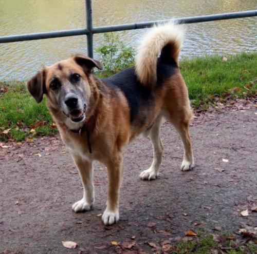 tierarztpraxis-bachem-driessen-patient-209