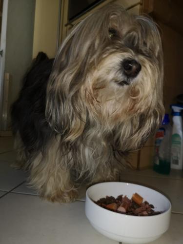 tierarztpraxis-bachem-driessen-patient-213