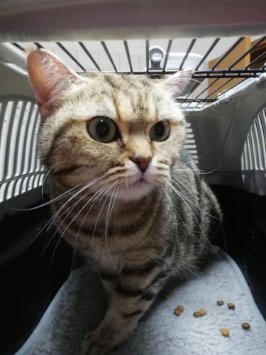 tierarztpraxis-bachem-driessen-patient-214