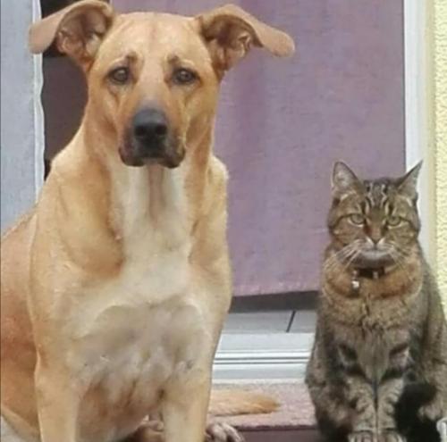 tierarztpraxis-bachem-driessen-patient-220