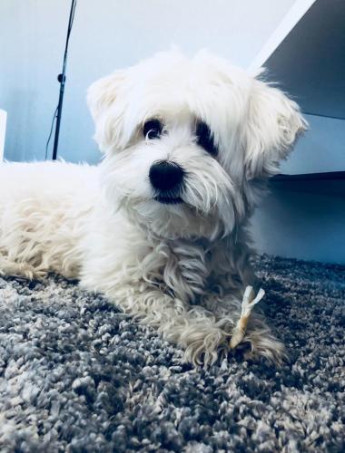 tierarztpraxis-bachem-driessen-patient-222